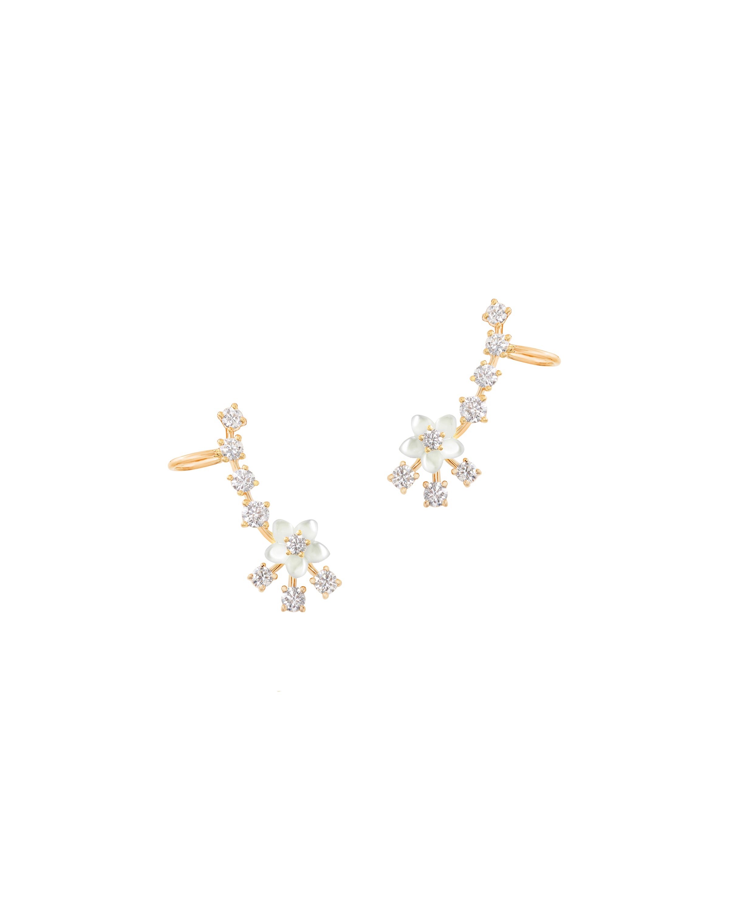 Palm Beach Petit Floral Climbers