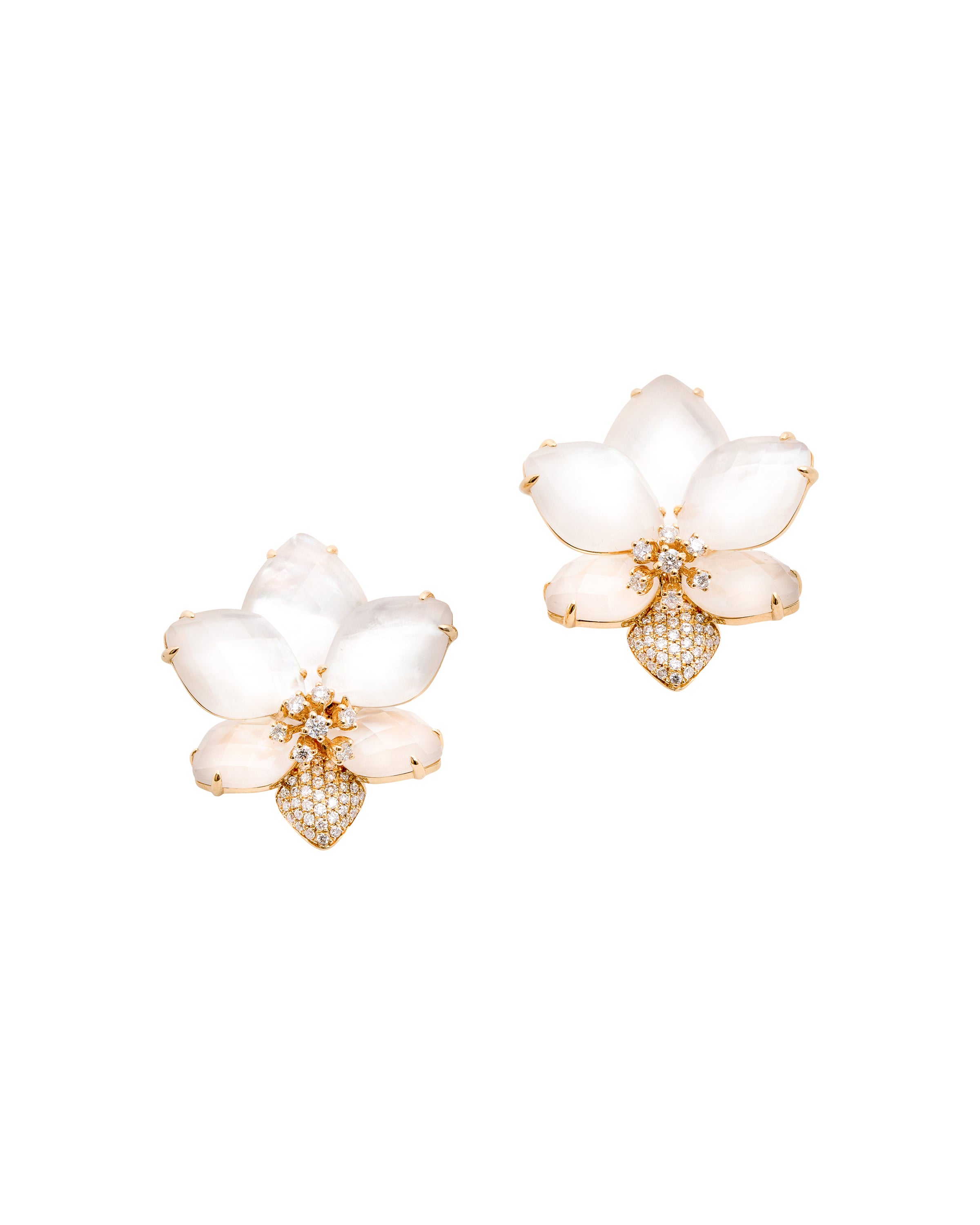 Palm Beach Collezione Blossoming Orchids earrings