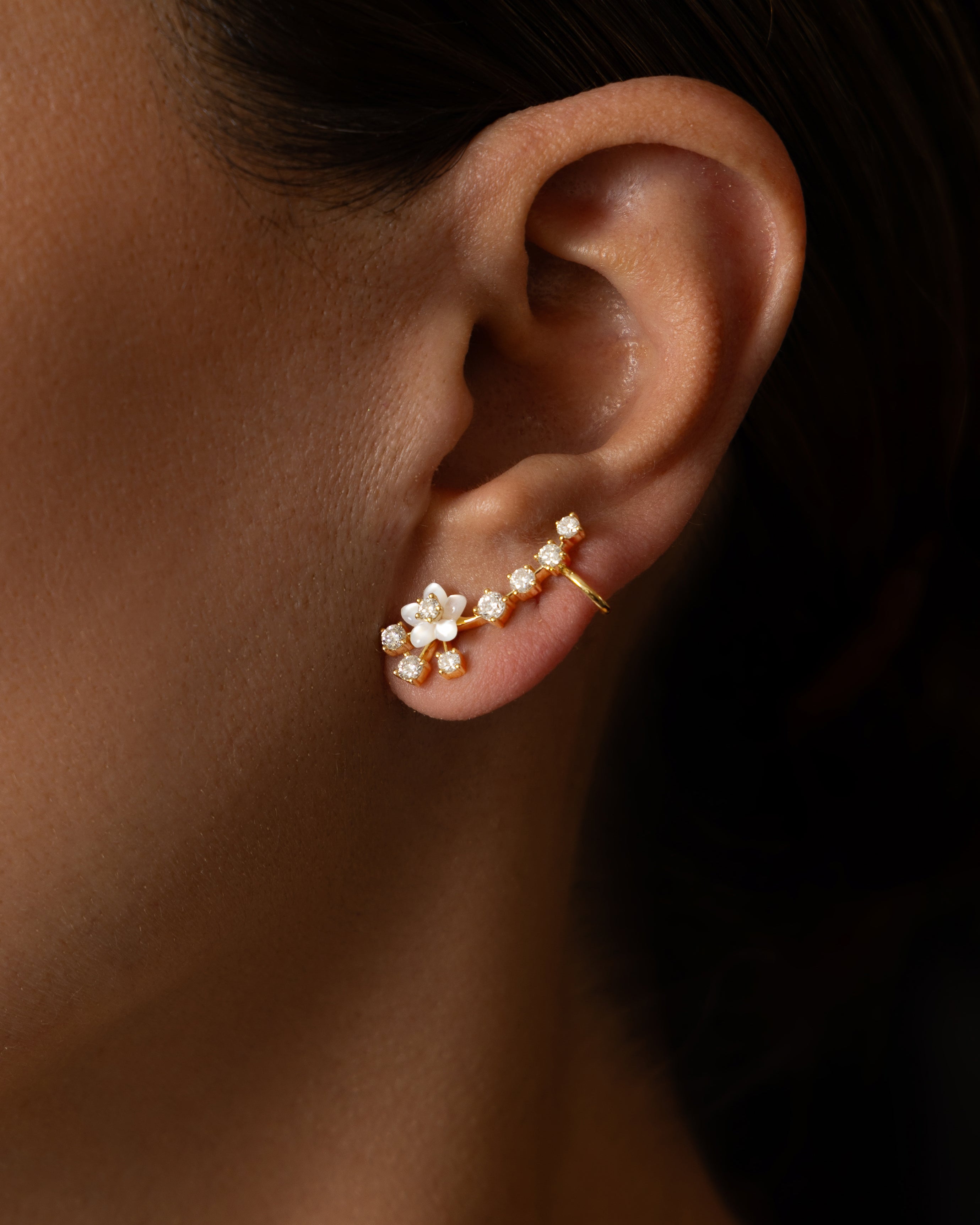 Palm Beach Petit Floral Climbers