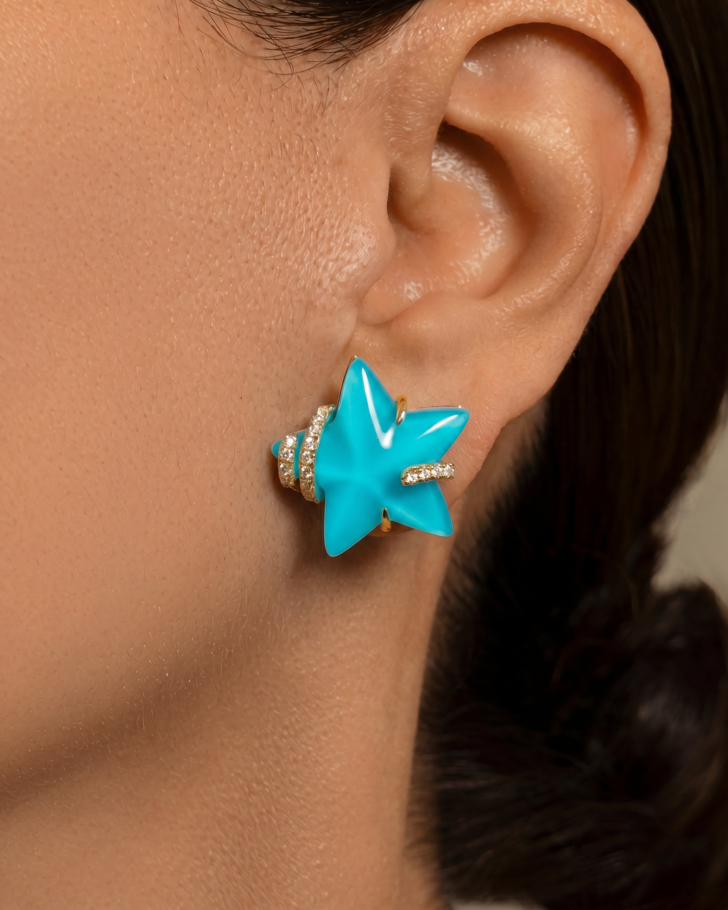 Stella Luna Large Earrings in Turquoise