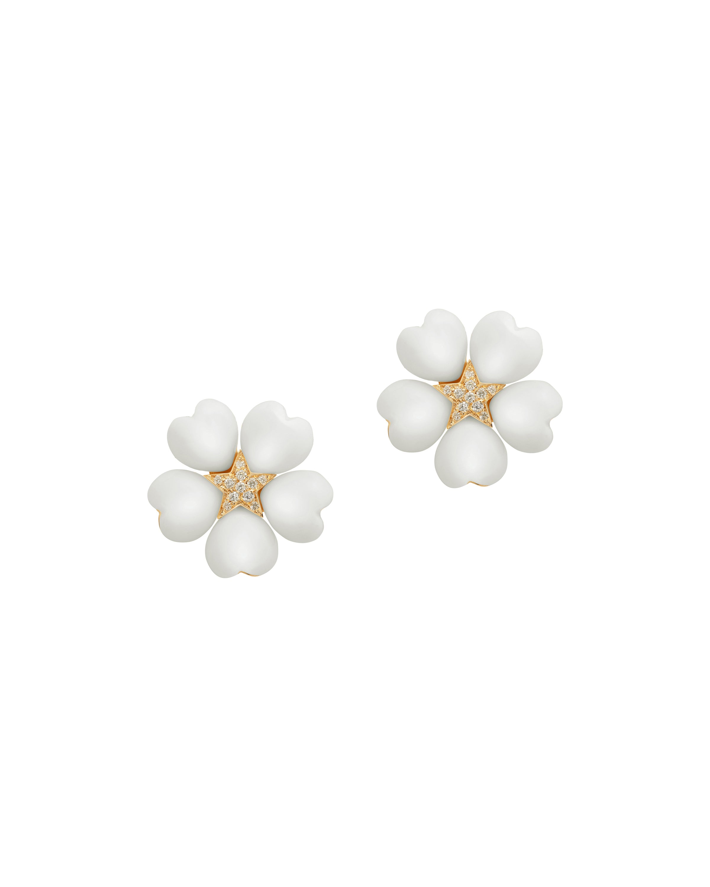 Petit White Coral Star Earrings