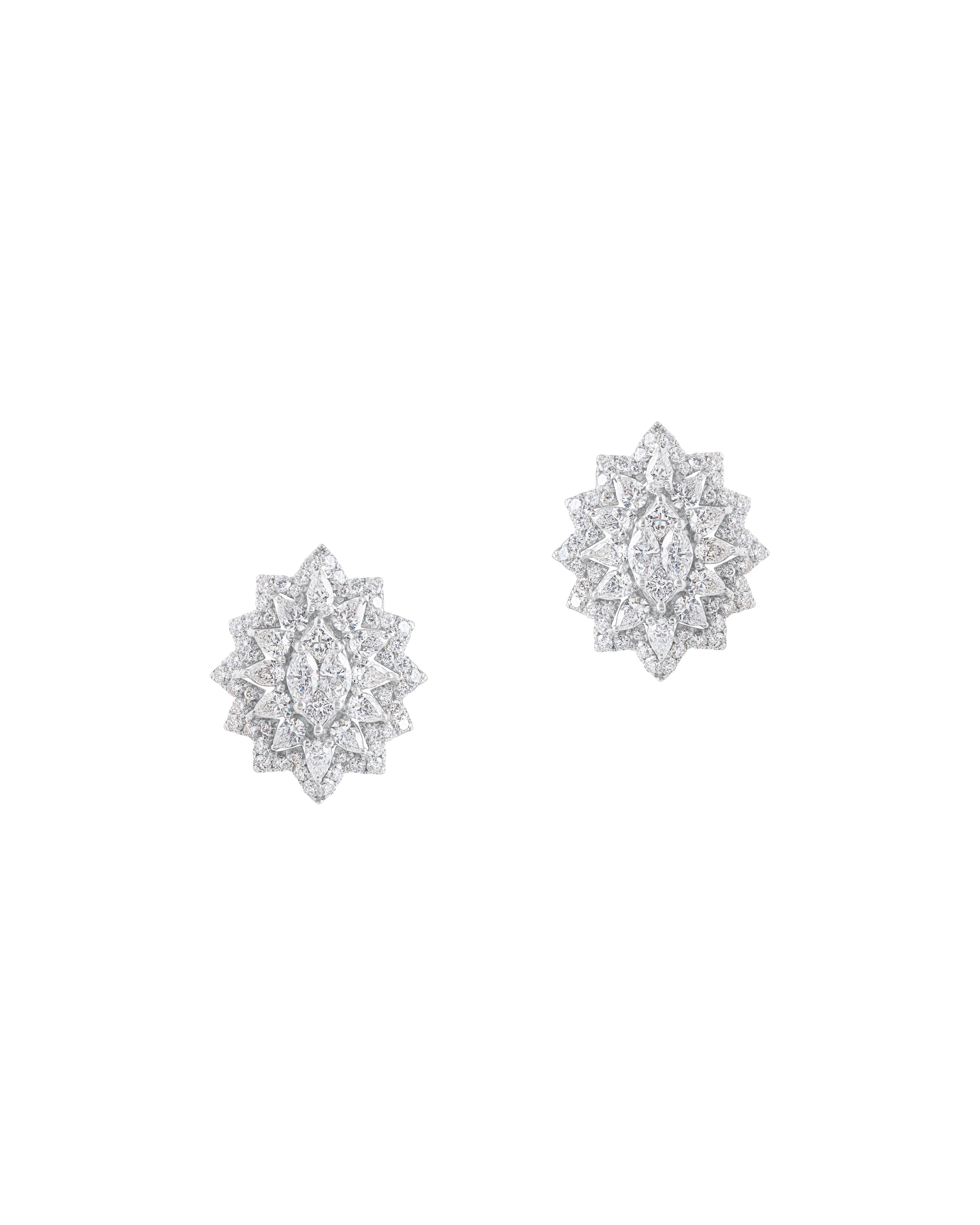Exquisite Diamond Earrings