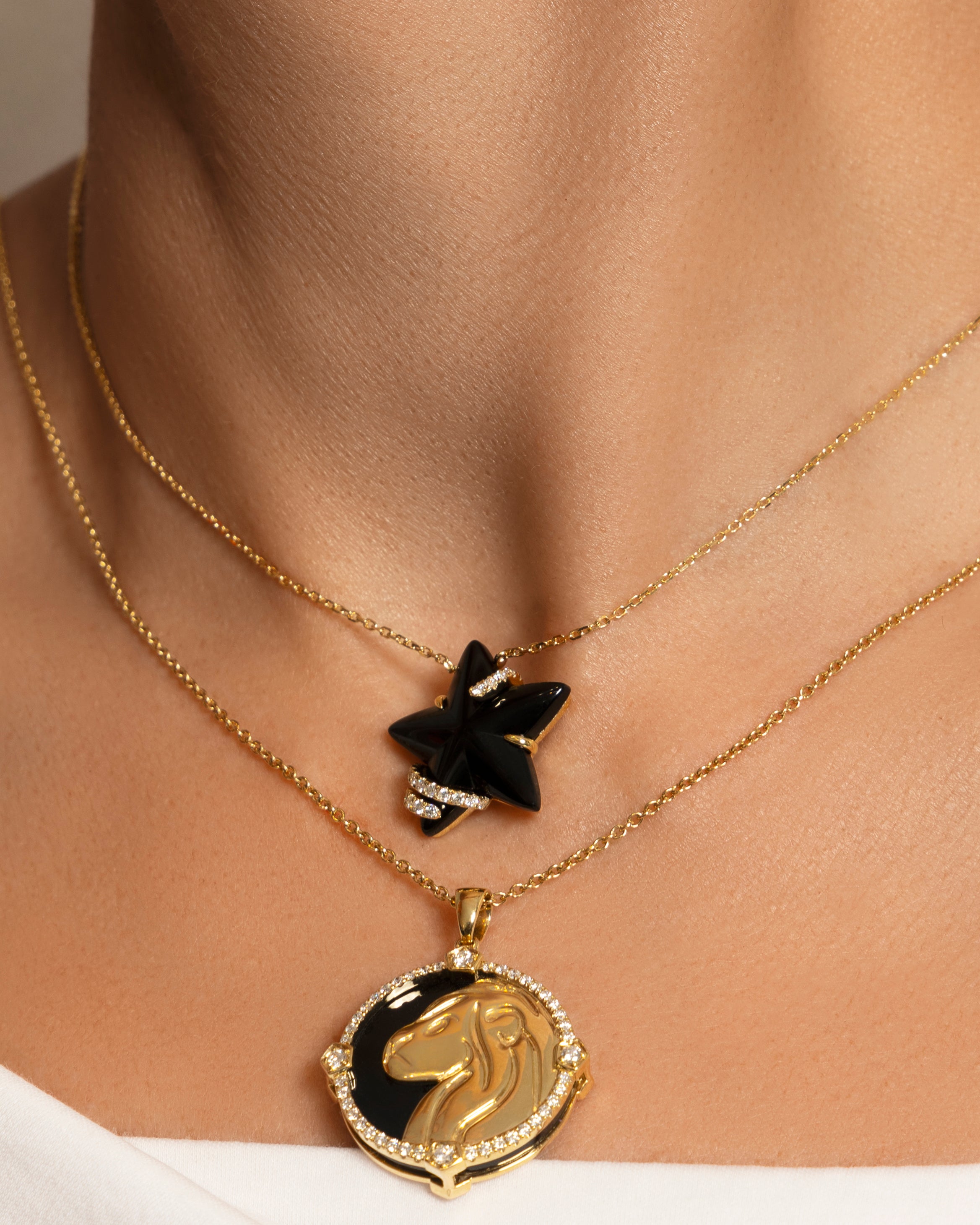 Stella Luna Necklace in Black Onyx