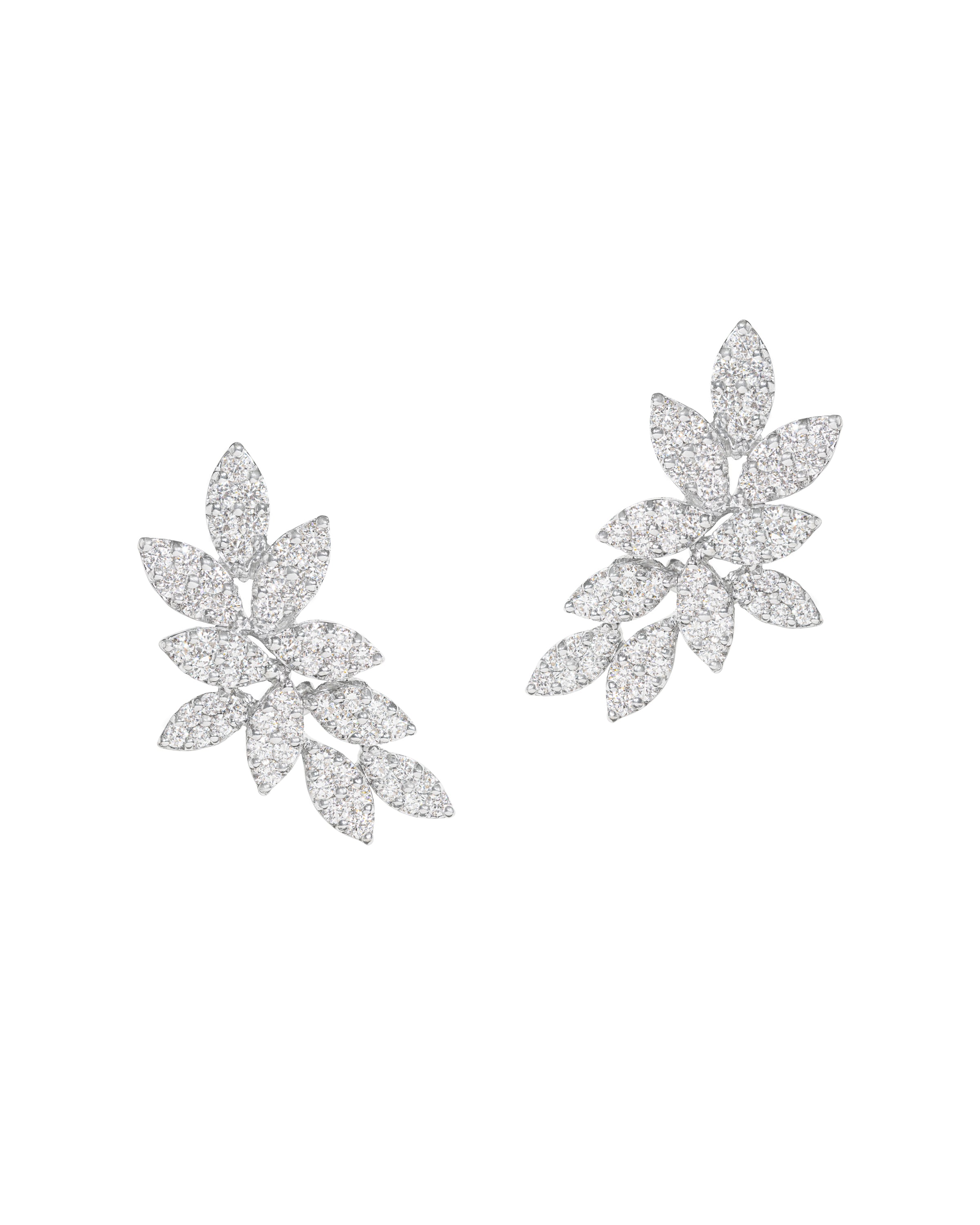 Diamond Petals Climbers