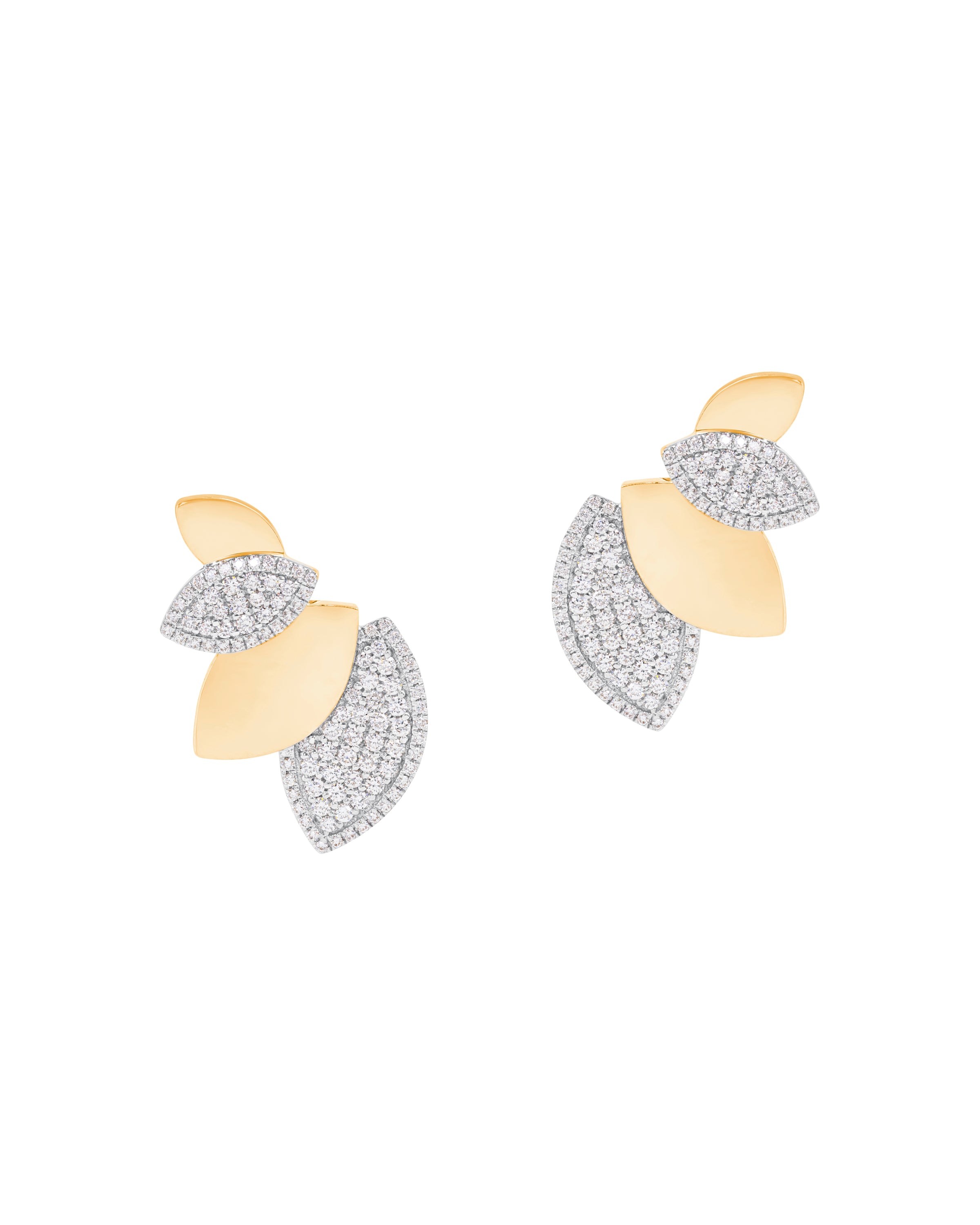 Il Giardino Diamond Petal Climbers